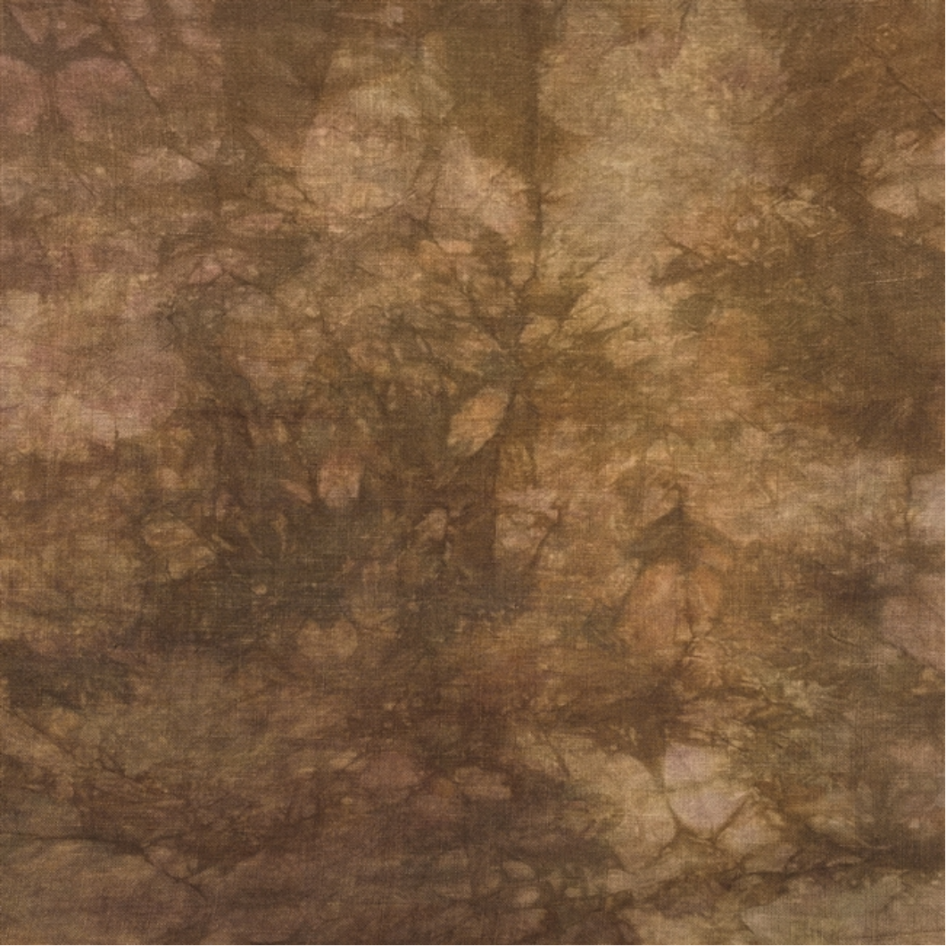 Bayou ~ 32 Count Lugana ~ Atomic Ranch