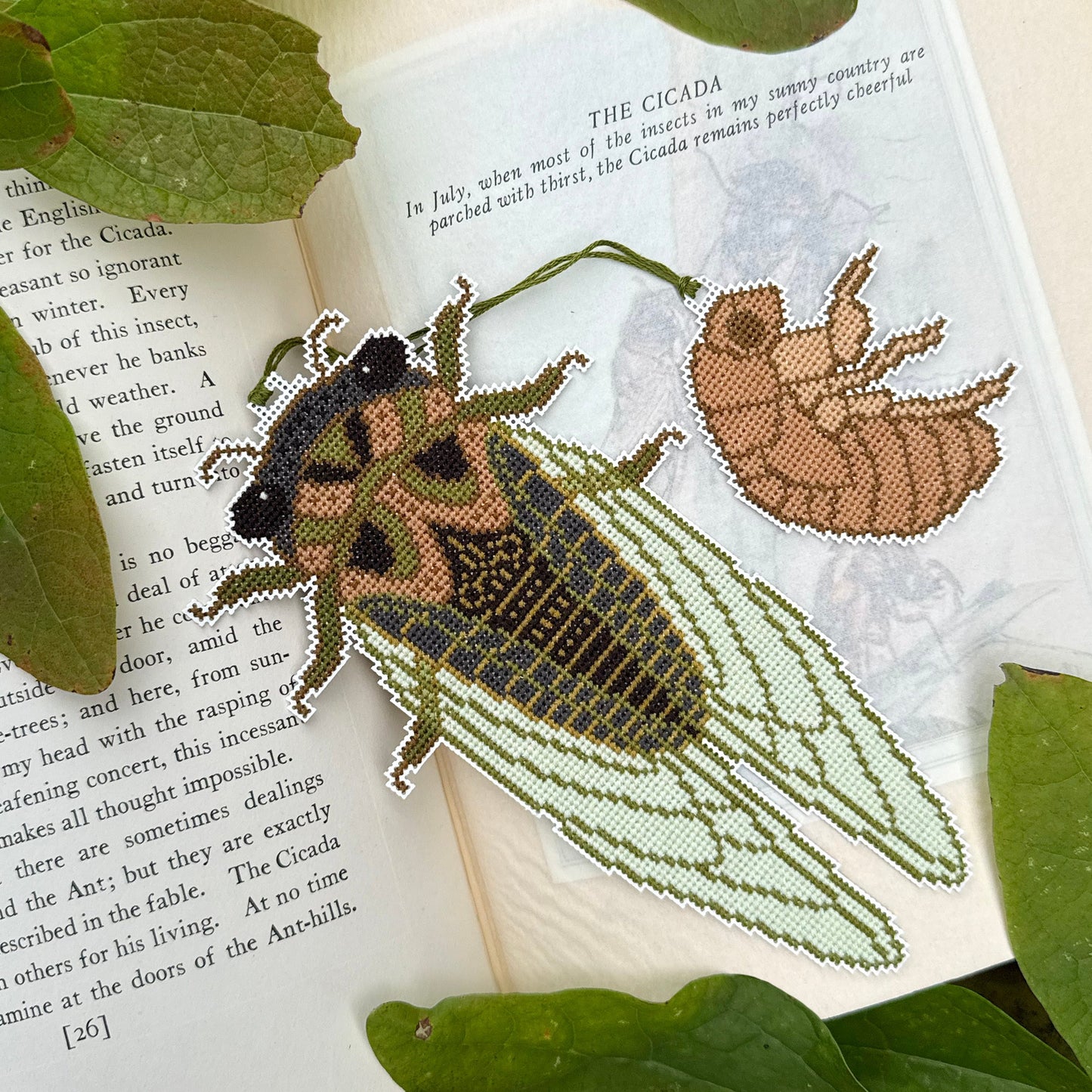 *PREORDER* Cicada Season ~ Boomerang Stitches ~ Nashville Needlework Market 2026