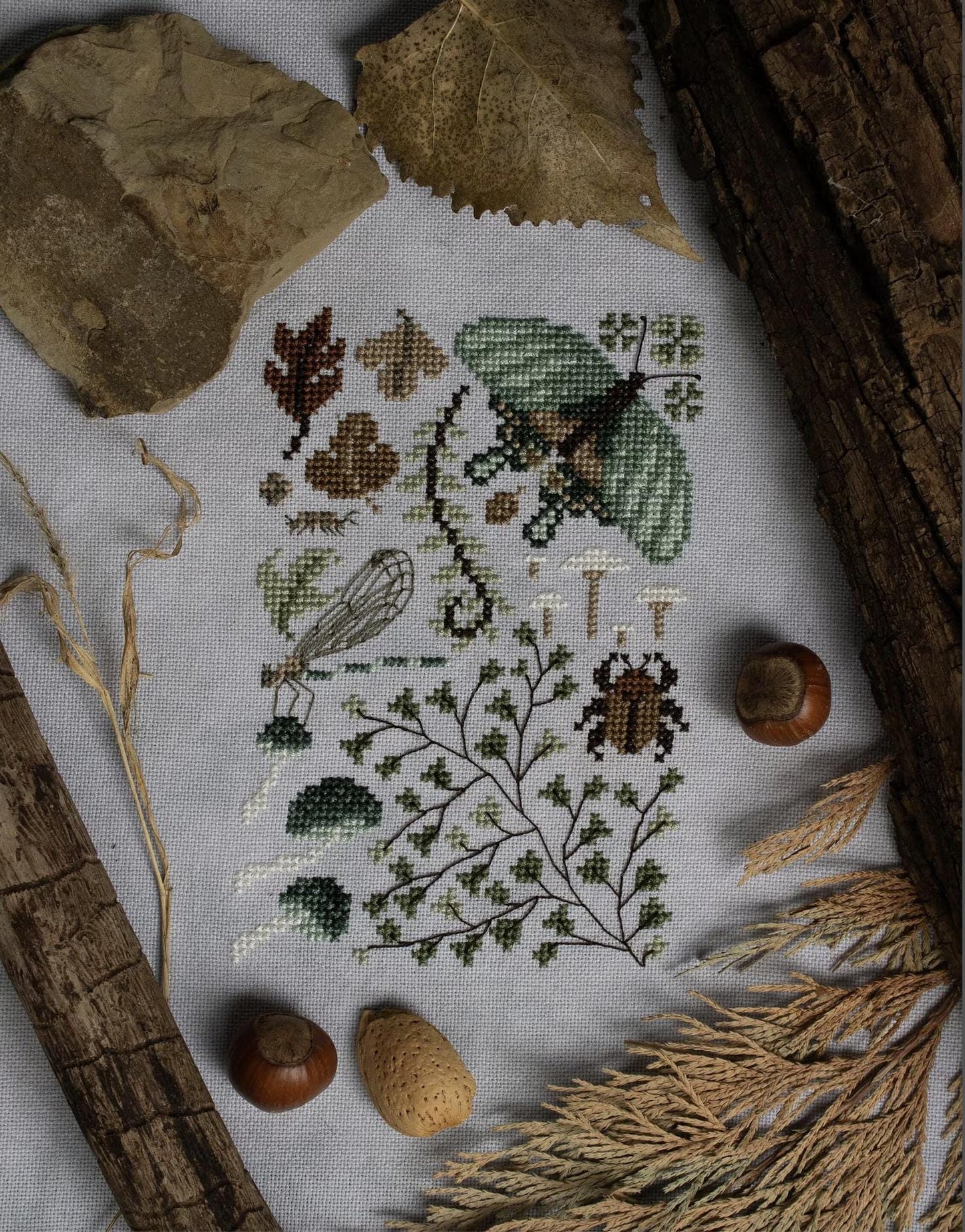 Petrichor Nature Walk ~ Sprouting Lupine