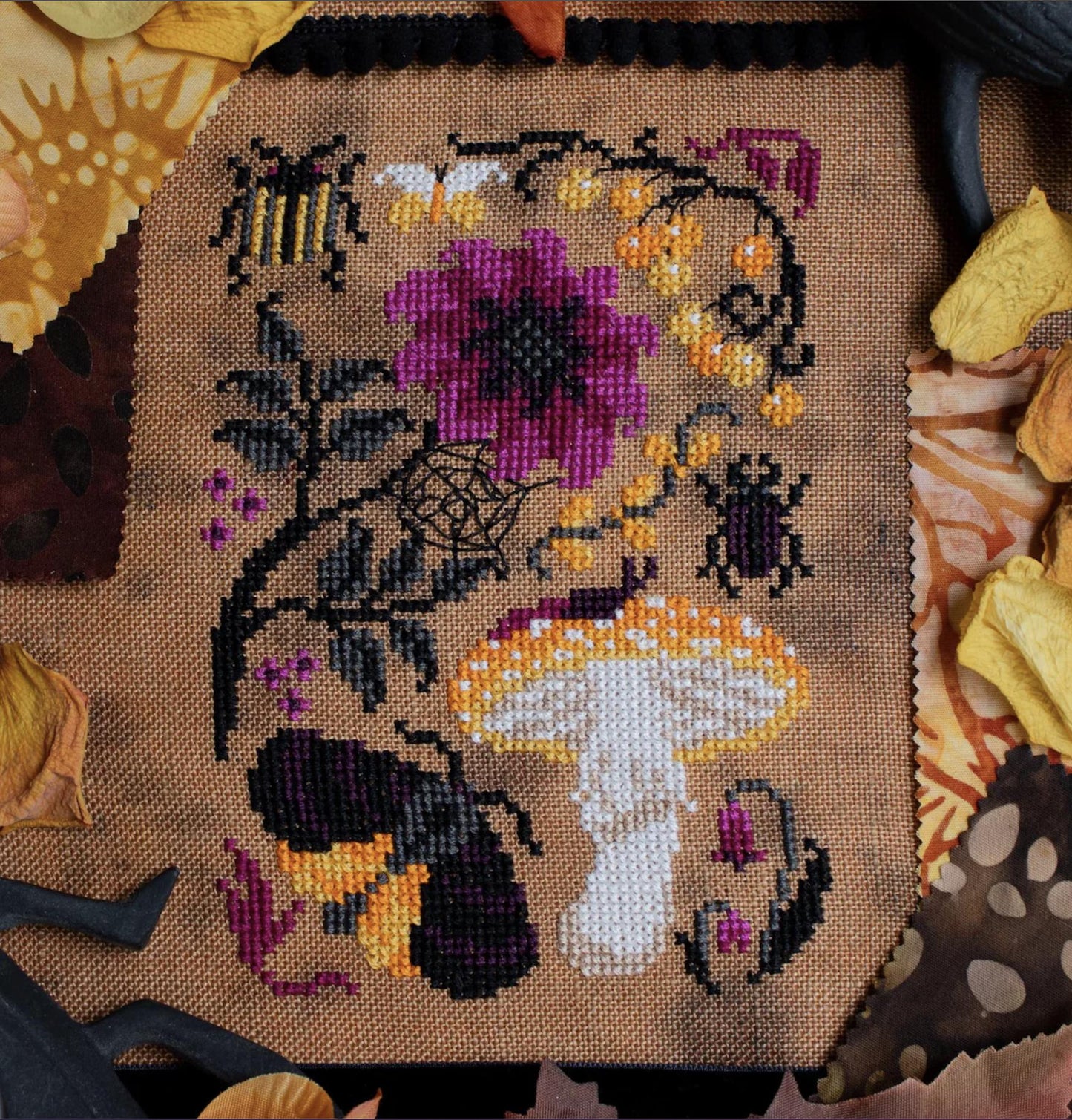 Witching Hour Nature Walk ~ Sprouting Lupine