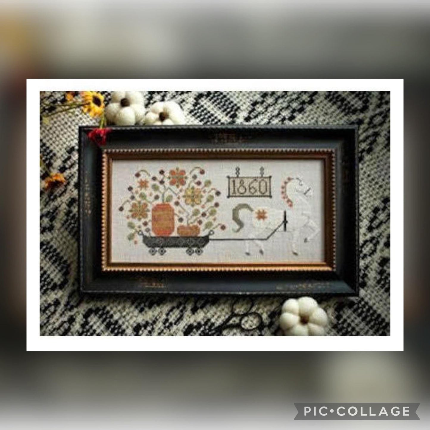 Harvest Delivery ~ Plum Street Samplers