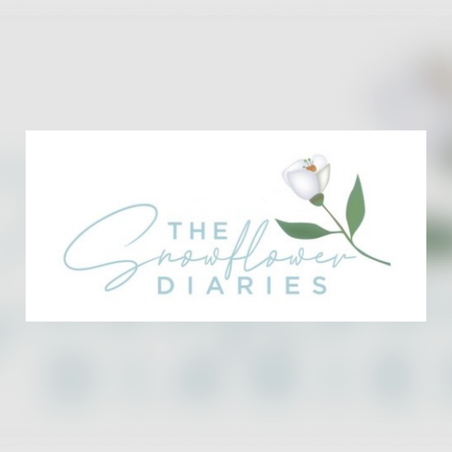 The Snowflower Diaries