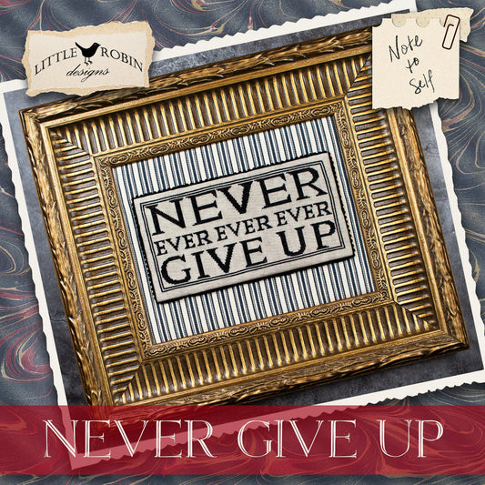 * PREORDER * Never Give Up ~ Little Robin Designs ~ Needlework Marketplace 2026